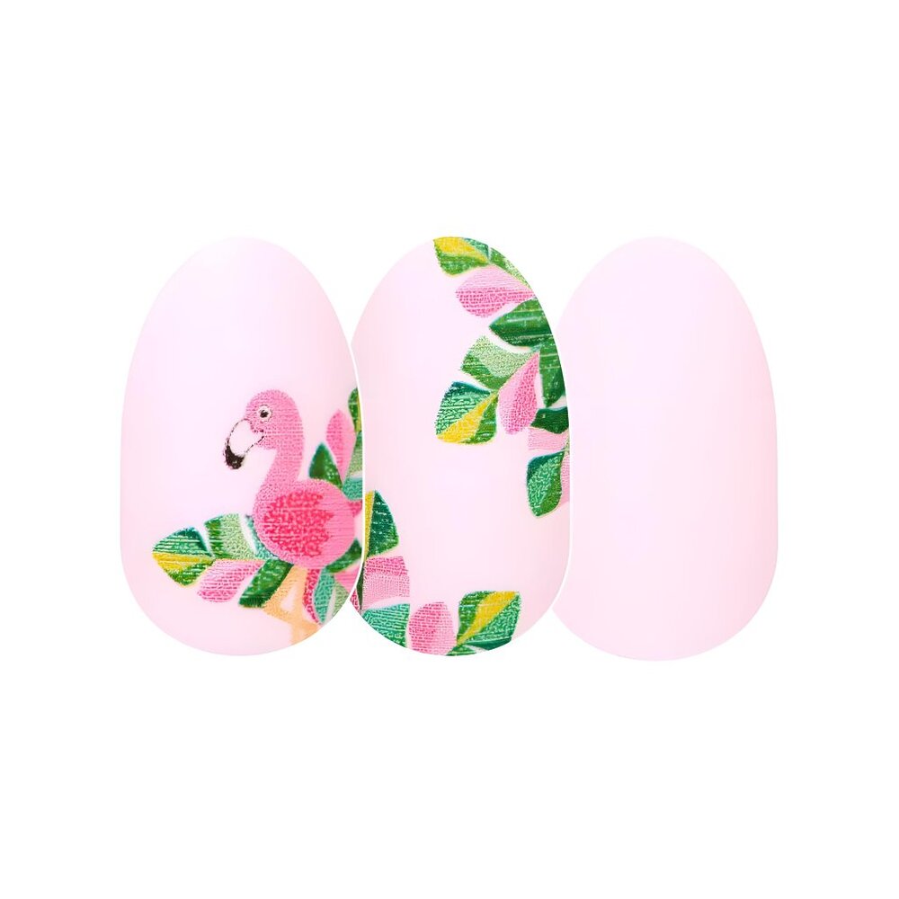 Flamin-goals Color Street Nail Strips